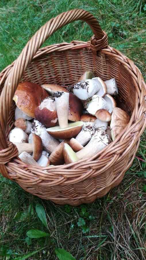 Ferienwohnung "Deluxe" In Korbach Zewnętrze zdjęcie